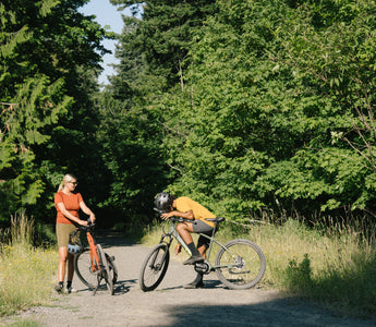 Are Electric Bikes Allowed in National Forests?